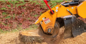 stump removal Adelaide Hills