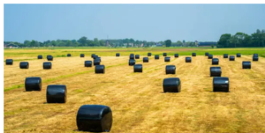 bale wrap