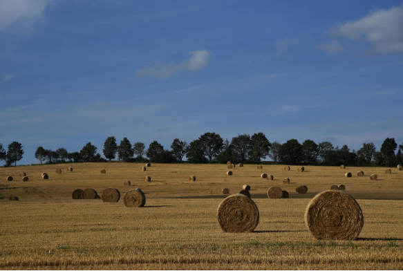 baling twine